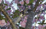 InkosiBlueCF_WithCF#2-7.jpg