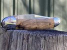 SM SPalted 1b.JPG
