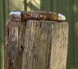 SM SPalted 2a.JPG