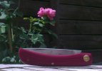 CoCousin_rose_3.jpg