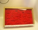display case.jpg