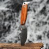 HEST-II-Woodsman_large.jpg