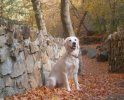 Argenta-2-Fall 2011.JPG