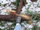 2012_01220010.jpg