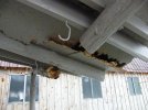 2012_01220011.jpg