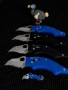 SpydercoDodo.jpg