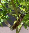 ACB8D5E9-BEE0-4119-A2BB-B1FD8CBF00B3.jpeg