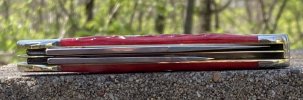 Red 6249 3.JPG