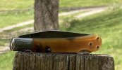 KabarPinchHorn 2a.jpg