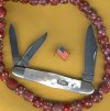 Case Pearl swell 2.jpg
