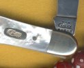 Case Pearl swell 3.jpg