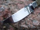 boxelder skinner slimline 2 004.jpg