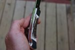 DSC_1156.jpg