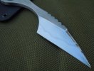 DSCN3646.jpg