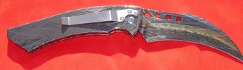hawk 002.jpg