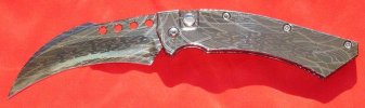 hawk 001.jpg