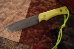 yellow 001.jpg