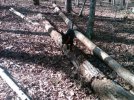IMG-20120130-00103.jpg
