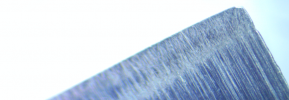 XTRA SMALL 800 logo toe (2).png