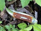 GEC12Bone-4.JPG