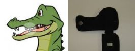 gator.jpg