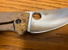 SpydieChef - BWL Ano 4.jpg
