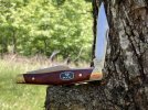 Rosewood301 2.JPG