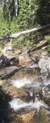 BC2D5782-B06C-4721-AA9B-E927F63869C7.jpeg