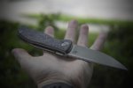 f3.in.hand.bf1.JPG