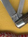 Cut Co Pnut 3.jpg