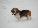 jan-10-2011 108.jpg