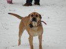 jan-10-2011 109.jpg