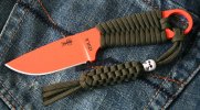 IMG_0451 ac trim.jpg