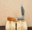 cripple creek bulldog giraffe bone-7.jpg