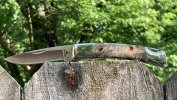 Custom501-11.JPG