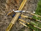 archery & knives -B - 1.jpeg