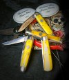 GEC Yellow Rose.jpg