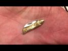 small knife.jpg