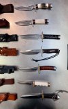Collection_5.jpg
