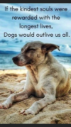 74B14098-5713-456E-9A58-C2739DE6780B.png