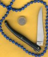 Steri Blade 1.jpg