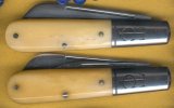 Smooth Ivory bone ex 2.jpg