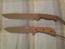 IMG_20120208_005245.jpg