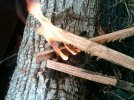 IMG-20120208-00133.jpg