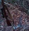 IMG-20120208-00151.jpg