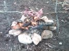 IMG-20120208-00152.jpg