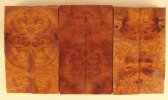Amboyna Burl scales #0129C.jpg Amboyna Burl scales #0129C.jpg