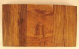 desert Ironwood Scales 3.jpg desert Ironwood Scales 3.jpg