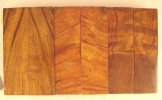 desert Ironwood Scales 4.jpg desert Ironwood Scales 4.jpg