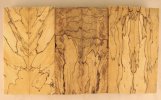 spalted tamarind scales set of 3 #0212A.jpg